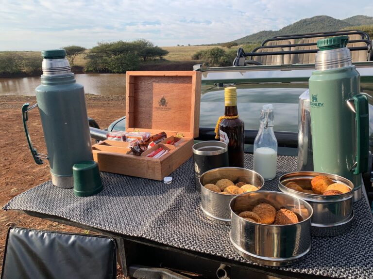 Thanda Game Reserve