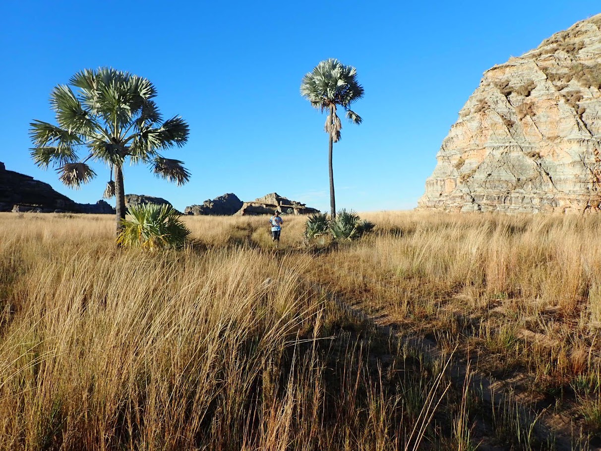 A runner passes through beautiful rural scenery as they take part in the Madagascar Marathon 2024