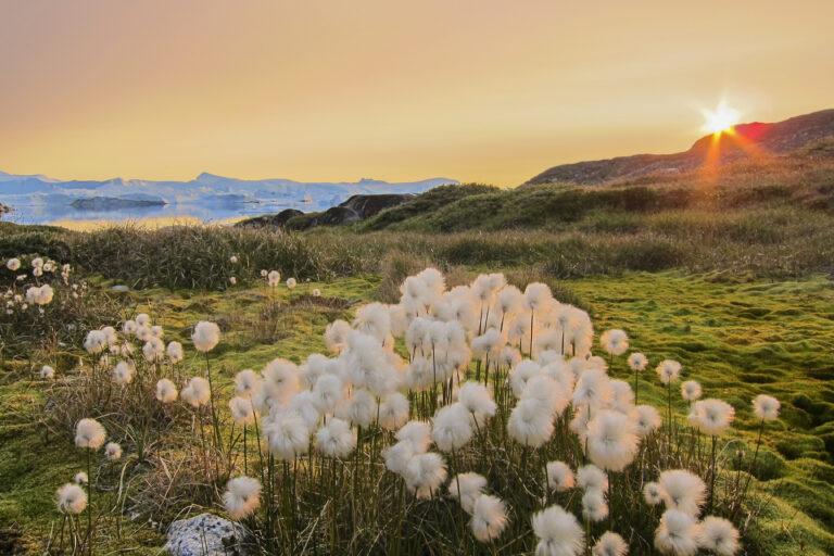 Photo of scenery in Greenland, offering a beautiful varied setting for the IceFjord Midnight Marathon