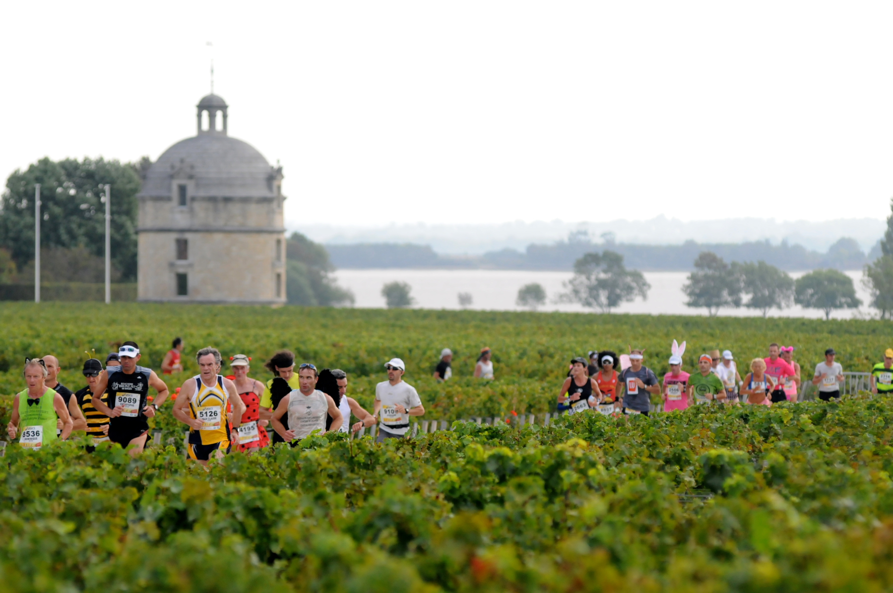 Photo of runners taking part in the Marathon du Medoc Marathon