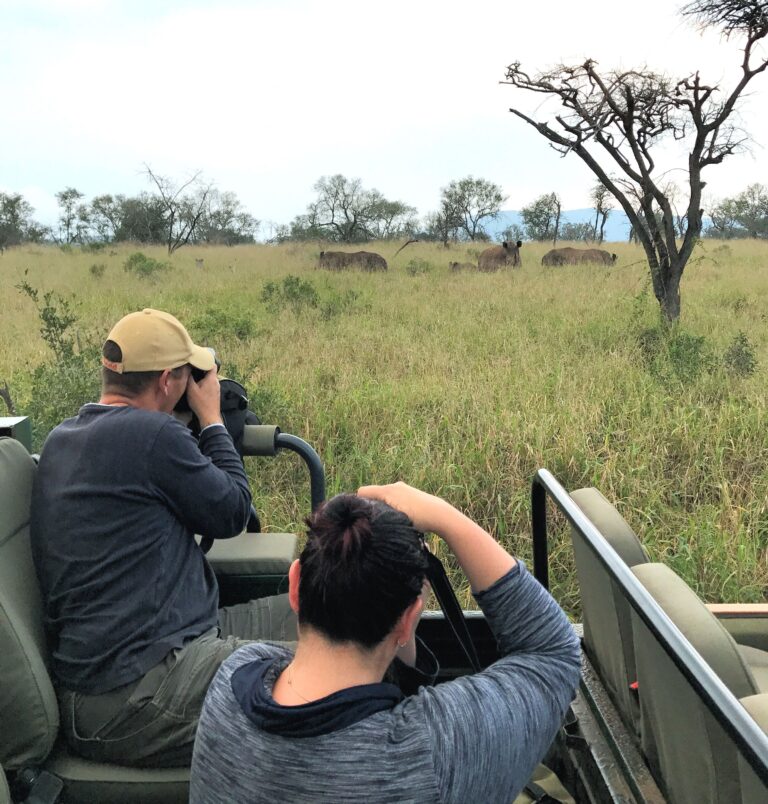 On safari at the Thanda Private Game Reserve, extension for the Comrades Marathon 2025